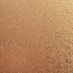 tent condensation morning dew に関連するアウトドア写真