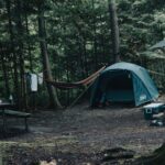 camping hammock forest に関連するアウトドア写真