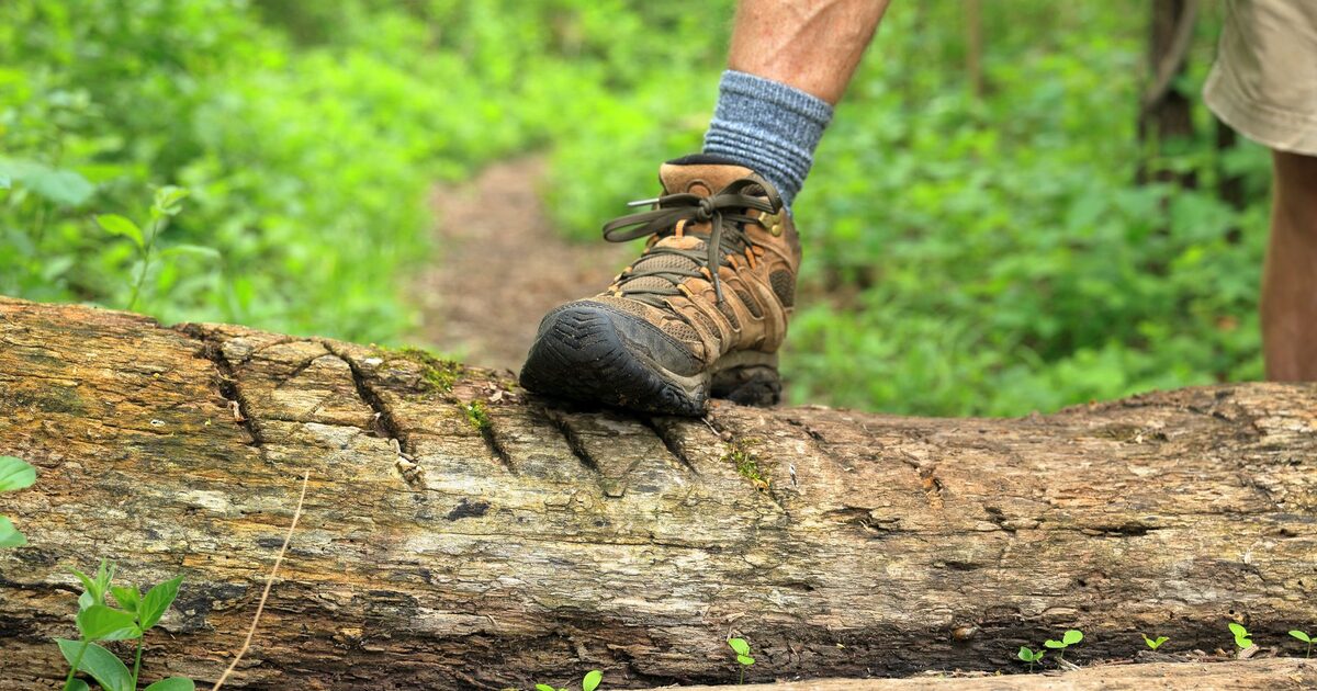 KEEN登山靴の選び方 他ブランドとの違いと向き不向き