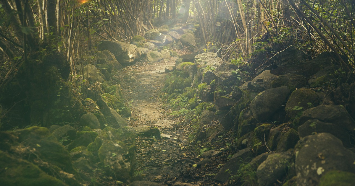 高尾山の秋の服装と持ち物｜登山ウェアは何を着て何を足す？